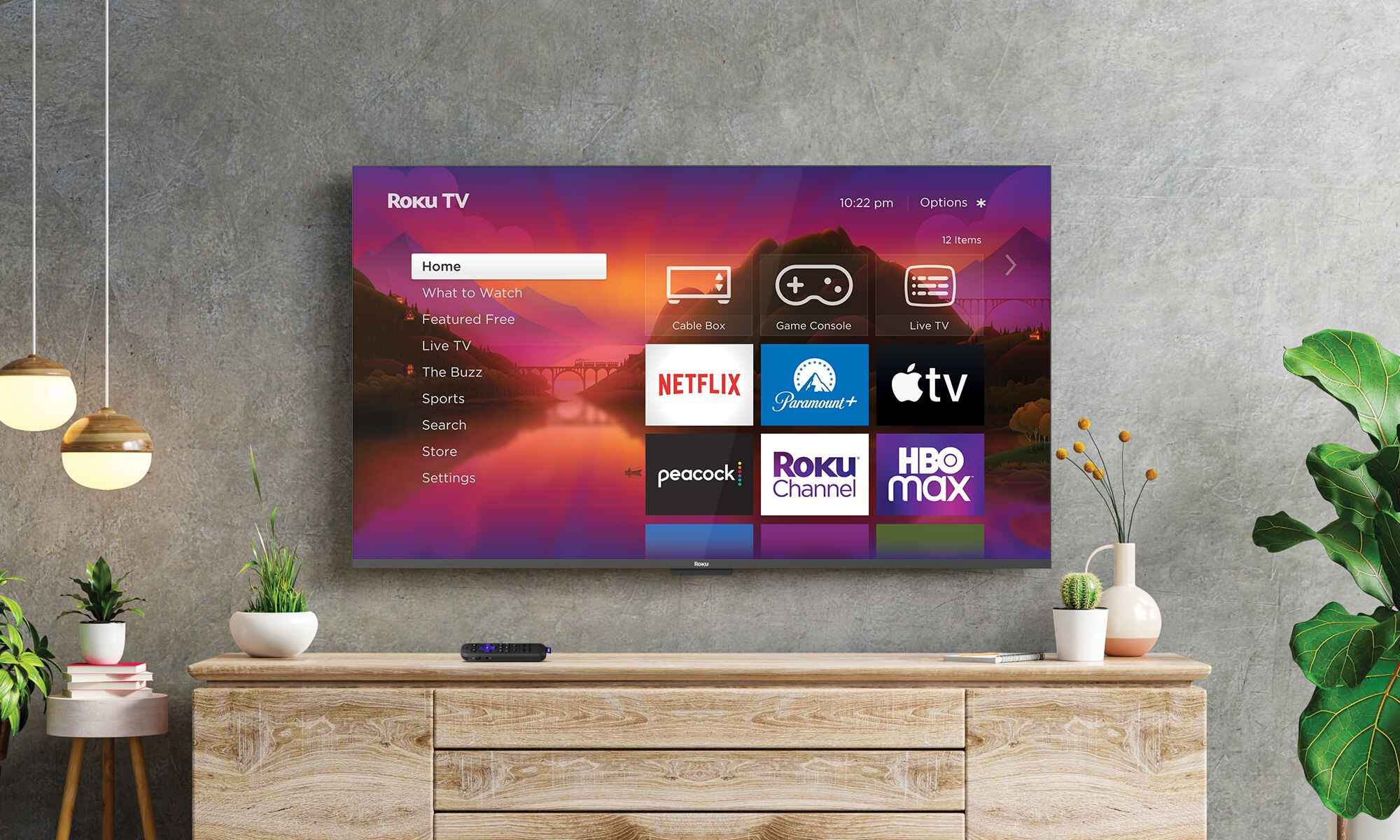 13 Best Roku LED TV For 2024